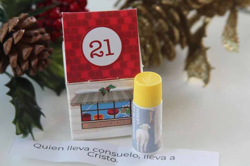 Visita al que está solo